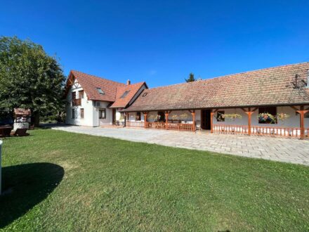 Image of Udvar, Terasz, Medence, Jakuzzi 1